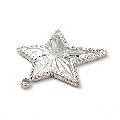 Non-Tarnish 304 Stainless Steel Pendants STAS-P312-14P-1