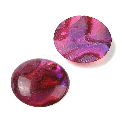 Natural Abalone Shell/Paua Shell Resin Cabochons SSHEL-K003-10MM-02-1
