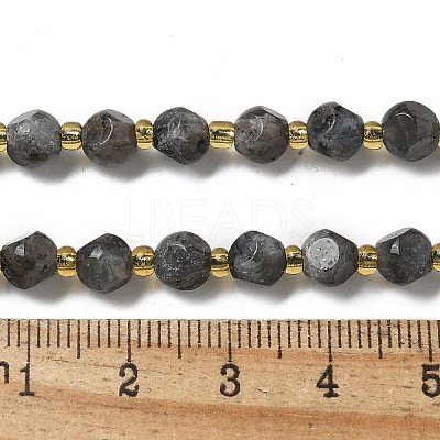 Natural Larvikite Beads Strands G-K387-A02-01-1