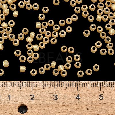 TOHO 8/0 Round Beads SEED-TR08-2110-1