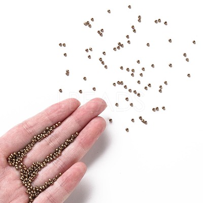 11/0 FGB Grade A Baking Paint Glass Seed Beads X-SEED-N001-A-1037-1