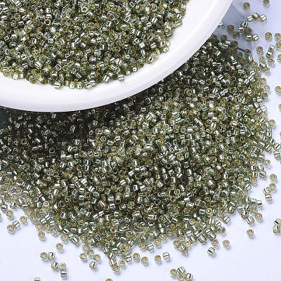 MIYUKI Delica Beads X-SEED-J020-DB2163-1