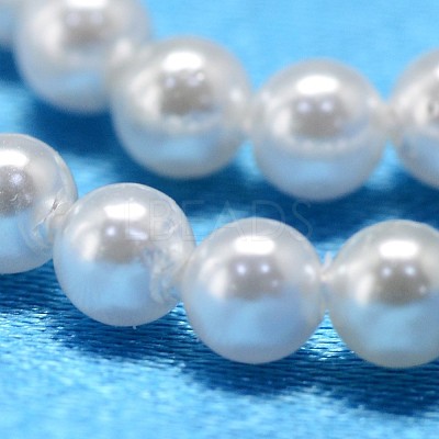 Round Shell Pearl Bead Strands BSHE-L011-3mm-A013-1