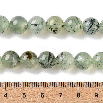 Natural Prehnite Beads Strands G-G474-A01-10mm-1
