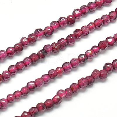 Natural Garnet Beads Strands X-G-J002-20-1