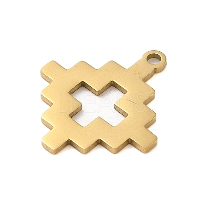 304 Stainless Steel Pendants STAS-S123-03G-09-1