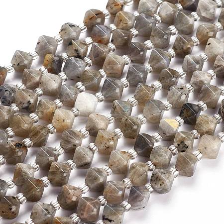Natural Labradorite Beads Strands G-Z014-07-1