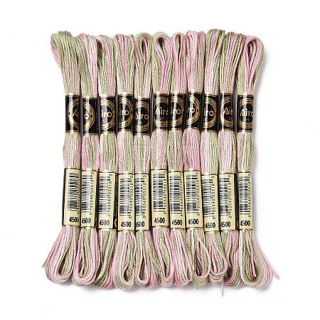 10 Skeins 6-Ply Polyester Embroidery Floss OCOR-K006-A73-1