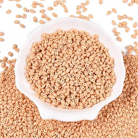 Baking Paint Glass Seed Beads SEED-T006-03E-1