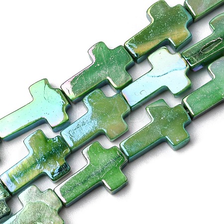 Natural Freshwater Shell Beads Strands SHEL-K006-02B-1