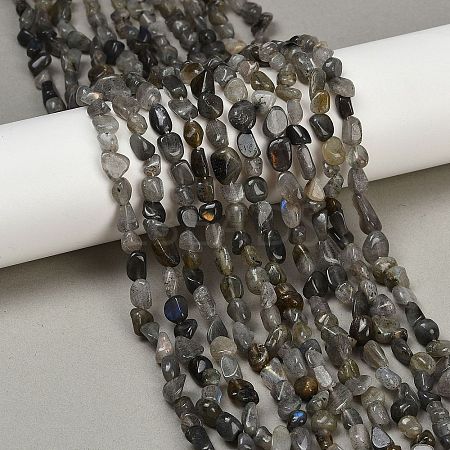 Natural Labradorite Beads Strands G-Q060-D02-1