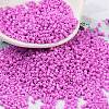 Baking Paint Glass Seed Beads SEED-S042-05B-90-1