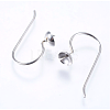 Tarnish Resistant 304 Stainless Steel Earring Hooks STAS-I069-41-2