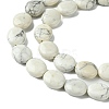 Natural Howlite Beads Strands G-K365-B14-02-4