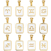 12Pcs 12 Styles Constellations Natural White Shell Pendants STAS-FH0002-55-1