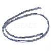 Natural Sodalite Beads Strands G-B004-A27-2