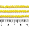 Opaque Glass Beads Strands EGLA-A035-P3mm-L04-4