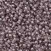 TOHO Round Seed Beads SEED-JPTR11-0353-2