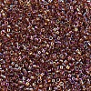 MIYUKI Delica Beads Small X-SEED-J020-DBS0170-3