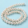 Natural Cultured Freshwater Pearl Beads Strands PEAR-E018-38-3
