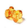 Transparent Acrylic Beads TACR-P003-10G-2
