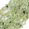 Natural Prehnite Beads Strands G-P332-41A-1
