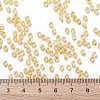 TOHO Round Seed Beads SEED-JPTR08-0961-4