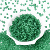 FGB Frosted Transparent Glass Seed Beads SEED-N013-03A-09-2