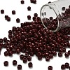 TOHO 6/0 Round Beads SEED-XTR06-0046-1
