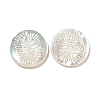 Carved Natural White Shell Cabochons SSHEL-N038-06B-08-1