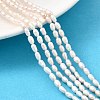 Natural Cultured Freshwater Pearl Beads Strands PEAR-I007-01L-01B-1