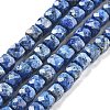 Dyed Natural Sesame Jasper Beads Strands G-C179-B02-01-1