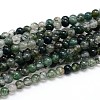 Natural Gemstone Round Bead Strands G-J303-07-10mm-1