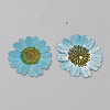 Pressed Dried Flowers DIY-WH0308-412B-1-1