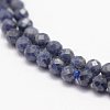 Natural Sapphire Beads Strands G-F460-46-3