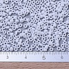 MIYUKI Round Rocailles Beads SEED-JP0008-RR0402F-4