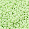 Glass Frosted Seed Beads SEED-K009-05B-06-3