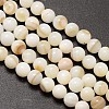 Natural Freshwater Shell Round Bead Strands SHEL-M013-01-1