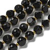 Natural Black Onyx(Dyed & Heated) Beads Strands G-K387-A03-02-2