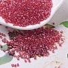 MIYUKI Delica Beads SEED-MY11-DB0172-1
