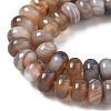 Natural Agate Beads Strands G-H295-C03-18-5