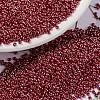 MIYUKI Round Rocailles Beads X-SEED-G009-RR0425-1