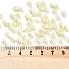Baking Paint Glass Seed Beads SEED-A032-02I-4