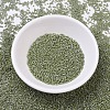 MIYUKI Delica Beads SEED-X0054-DB0263-2