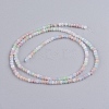Faceted Glass Beads Strands X-GLAA-G074-A02-2