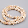 Natural Shell Bead Strands X-BSHE-P021-03-2