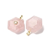 Natural Rose Quartz Pendants G-P588-02G-06-2