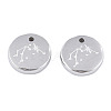 Non-Tarnish 316 Surgical Stainless Steel Charms STAS-S116-418F-P-2