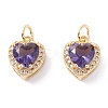 Brass Micro Pave Cubic Zirconia Charms ZIRC-A019-14G-D-1
