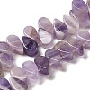 Natural Amethyst Beads Strands G-B064-B01-1
